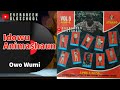 Idowu Animashaun - Owo Wumi