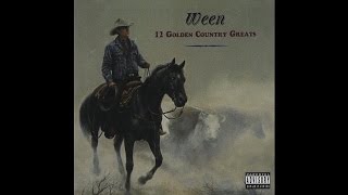 Ween (Oct. 96&#39; Tour Sampler) - Waving My Dick In The Wind