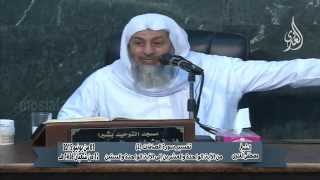 تفسير سورة الصافات  2 من الآية الواحدة والعشرين إلى الآية الواحدة والستين