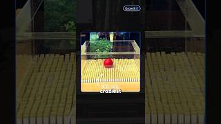 What Happens When AI Gets a Body