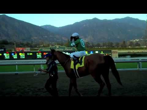 Caracortado wins the Daytona Stakes (Gr. III)