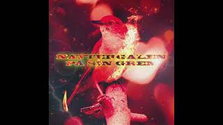 Sebastian - Nattergalen På Sin Gren (Rayz Remix)