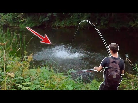 Lure fishing the Lancaster canal (Overgrown stretch)