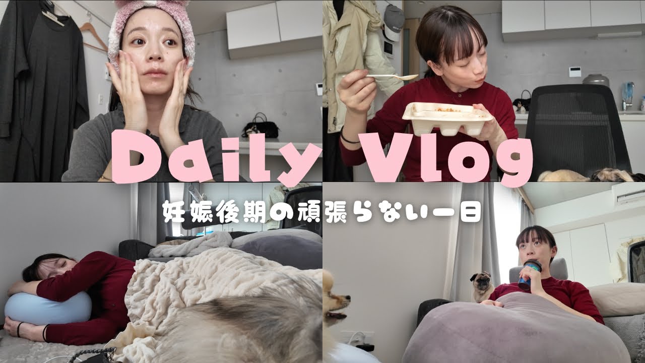 【妊娠後期】検診に行って頑張らないゆるゆるな一日🍚🐶