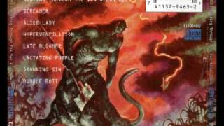 Helios Creed  - Late Bloomer (Live)