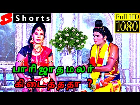 Importance of parijatha flower 🌸/ Benefits of parijatha flower/ kanna un leela vinotham/ JR kudumbam