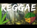 Shaggy & Rayvon   In The Summertime TNI x BRAKS Remix ft  JPOD Reggae Remix - AI #reggae