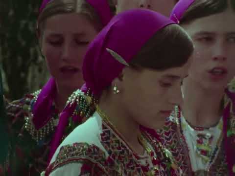 СВРШУВАЧКА, РТС, 1982