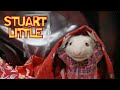 Stuart S New Family And His Ultimate Adventure Stuart Little