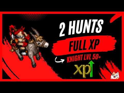 TIBIA: THE 2 BEST HUNT FOR EK SOLO LVL 50 TO 100 💪😁