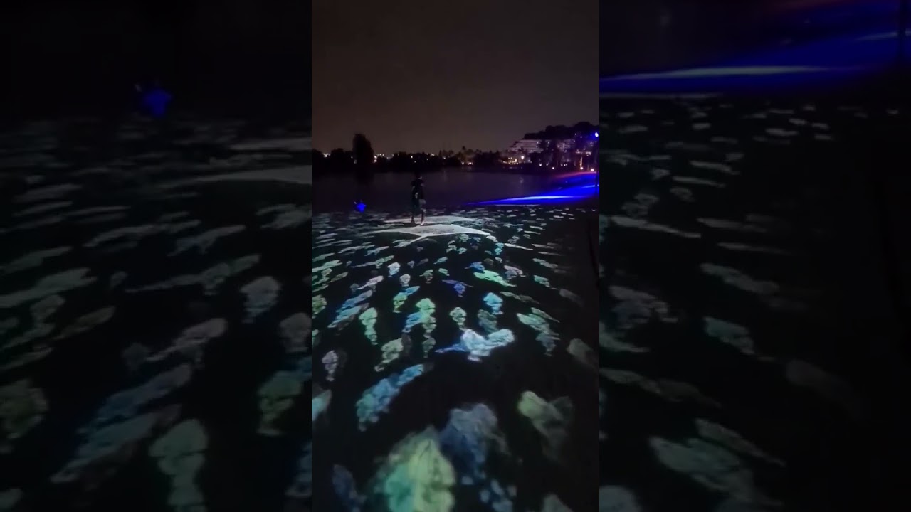 YouTube Short thumbnail