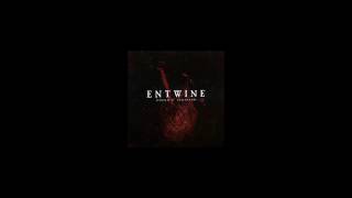 Entwine - Closer (My Love) Acoustic Version
