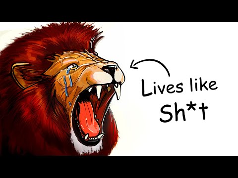 Why it Sucks to be Born as a Lion