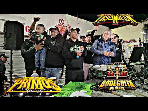 Sonido FASCINACION ‼️ org. Primos Barrio Norte ‼️ festejando a la Virgen de Guadalupe 2025‼️