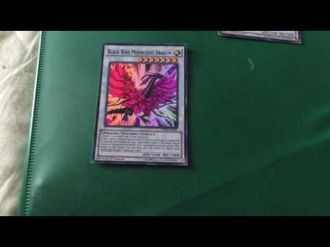 download lagu mp3 mp4 Black Rose Moonlight Dragon, download lagu Black Rose Moonlight Dragon gratis, unduh video klip Download Black Rose Moonlight Dragon Mp3 dan Mp4 320kbps Gratis