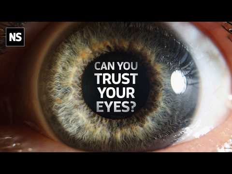 ייתכן שאנחנו טועים לחלוטין לגבי המציאות