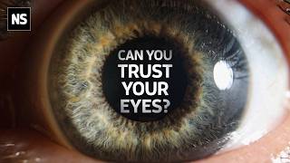 ייתכן שאנחנו טועים לחלוטין לגבי המציאות