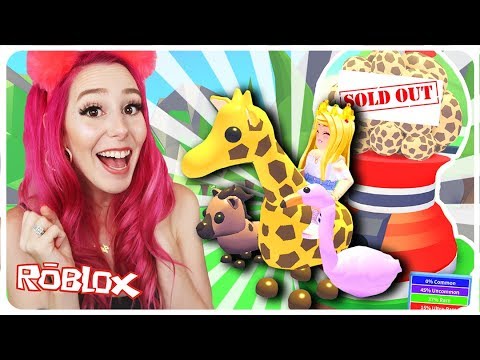 I Bought All Of The New Adopt Me Pets In Roblox New Roblox - 