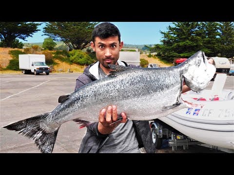 Catch and Cook, Smoke and Eat GARGANTUAN King Salmon!!!!!!