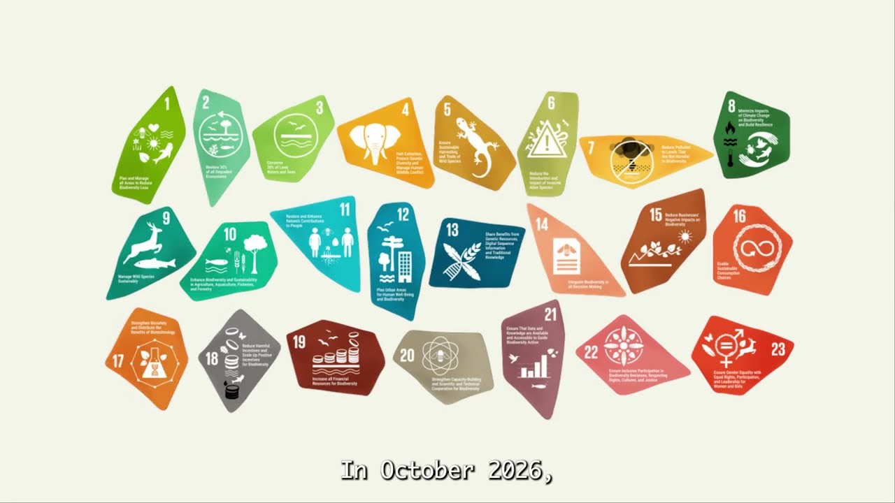 IDB 2026: Moving from Local to Global Biodiversity Action