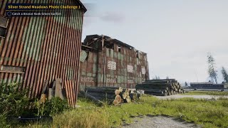 Silver Strand Meadows Photo Challenge 1 - Catch A Bronze Rank Green Sunfish COTW : The Angler