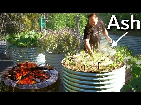 YouTube video about: Are incense ashes good for plants?