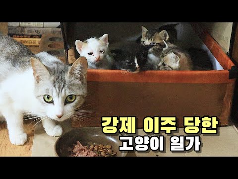 아이콘