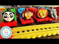 Racing Thomas Trackmaster Sodor Safari Trains with Kids Toys Play