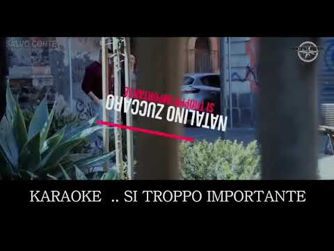 Natalino zuccaro  (si troppo importante)karaoke🎤