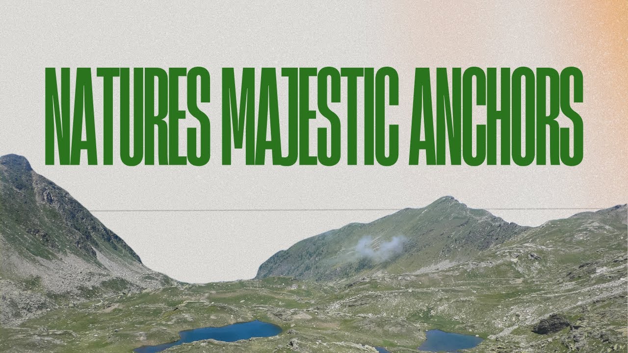 Featured Educational Video 6