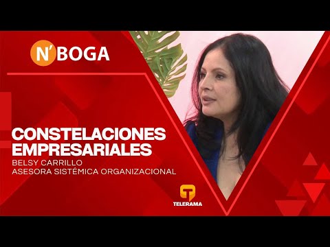Constelaciones empresariales: La clave oculta del éxito organizacional