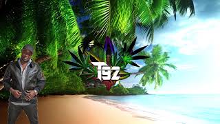 Irie-AC - Say You Won't Let Go Reggae Cover