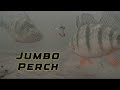 Video Thumbnail for Can’t Catch Jumbo Perch? TRY This! CLEAR Underwater Footage!
