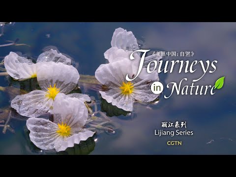 Série Lijiang Ep. 6: Lago Lugu