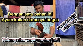 Download lagu Cara Mengatasi nafas ayam  dengan satu bahan ini!!! 100%sudah terbukti khasiatnya mp3