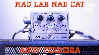 MadLab MadCat | Andy Ferreira
