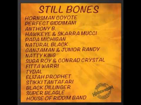 STIKKI TANTAFARI "Skank to the one drop"