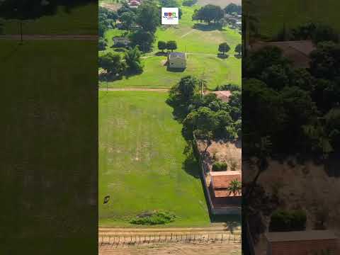 ALBINÓPOLIS - SANTA RITA DO PASSA QUATRO-SP #shorts