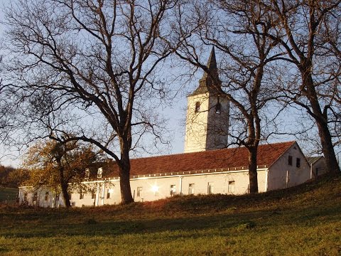 ČUDA PRESVETE BOGORODICE LEPAVINSKE:SVEDOČANSTVO 21 | Tihi glas