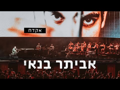 אקדח