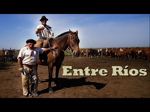 381 Puesto La Clementina - Arroyo El Tala - Río Ibicuy - Entre Ríos - Estancias y Tradiciones