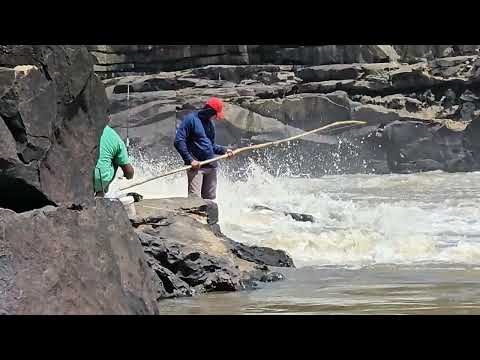 DIA DE PESCARIA RAIZ NA CACHOEIRA DO URUBU ESPERANTINA PIAUÍ 