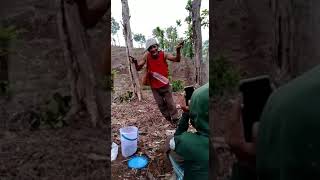 Download lagu H tile ke 2 mp3 Download lagu H tile ke 2 mp3