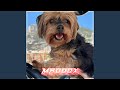 Die Geissens Techno Maddox Song