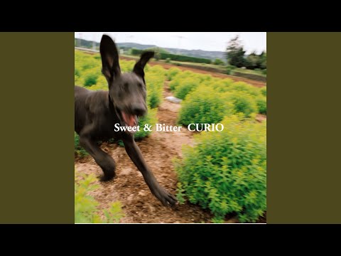 Kimi ni fureru dakede