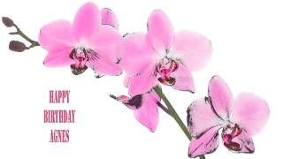 Agnes   Flowers &amp; Flores - Happy Birthday