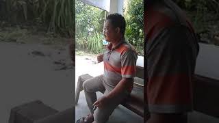 Download lagu Ocu punya cerita mp3