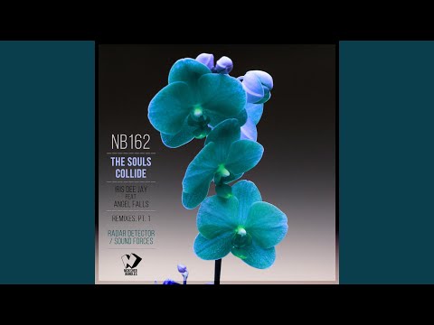 The Souls Collide (Sound Forces Remix)