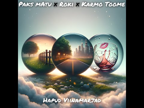 Paks Matu & Roki x Karmo Toome - Aiaäärne