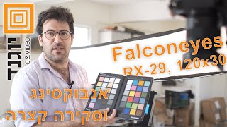 אנבוקסינג והוראות הפעלה, Falconeyes RX 29, פאנל לד גמיש